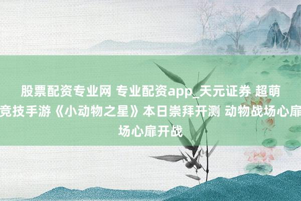 股票配资专业网 专业配资app_天元证券 超萌战术竞技手游《小动物之星》本日崇拜开测 动物战场心扉开战