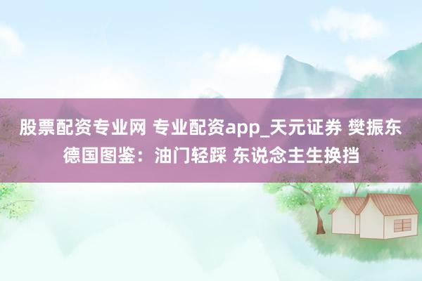 股票配资专业网 专业配资app_天元证券 樊振东德国图鉴：油门轻踩 东说念主生换挡