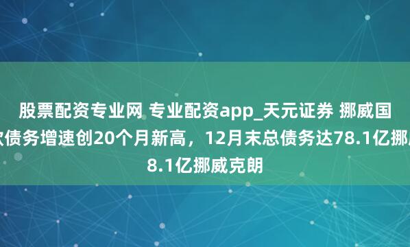 股票配资专业网 专业配资app_天元证券 挪威国内贷款债务增速创20个月新高，12月末总债务达78.1亿挪威克朗