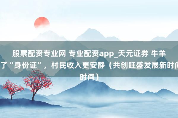 股票配资专业网 专业配资app_天元证券 牛羊有了“身份证”，村民收入更安静（共创旺盛发展新时间）