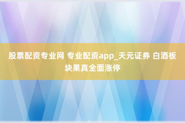 股票配资专业网 专业配资app_天元证券 白酒板块果真全面涨停