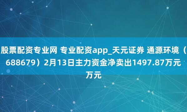 股票配资专业网 专业配资app_天元证券 通源环境（688679）2月13日主力资金净卖出1497.87万元