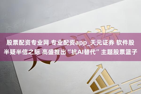 股票配资专业网 专业配资app_天元证券 软件股半疑半信之际 高盛推出“抗AI替代”主题股票篮子