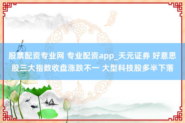 股票配资专业网 专业配资app_天元证券 好意思股三大指数收盘涨跌不一 大型科技股多半下落