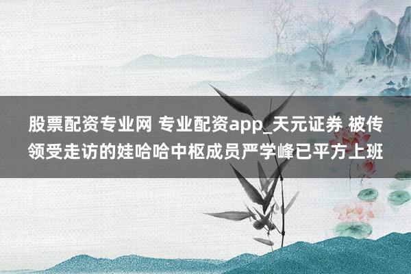 股票配资专业网 专业配资app_天元证券 被传领受走访的娃哈哈中枢成员严学峰已平方上班