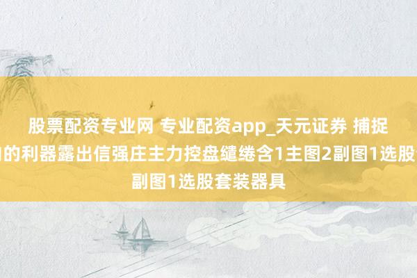 股票配资专业网 专业配资app_天元证券 捕捉庄家动向的利器露出信强庄主力控盘缱绻含1主图2副图1选股套装器具