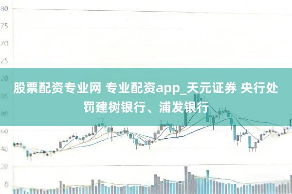 股票配资专业网 专业配资app_天元证券 央行处罚建树银行、浦发银行