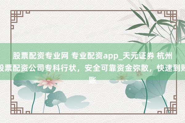 股票配资专业网 专业配资app_天元证券 杭州股票配资公司专科行状，安全可靠资金弥散，快速到账