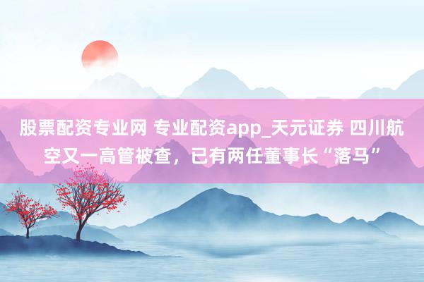 股票配资专业网 专业配资app_天元证券 四川航空又一高管被查,已有两任董事长“落马”