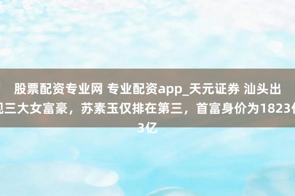 股票配资专业网 专业配资app_天元证券 汕头出现三大女富豪，苏素玉仅排在第三，首富身价为1823亿