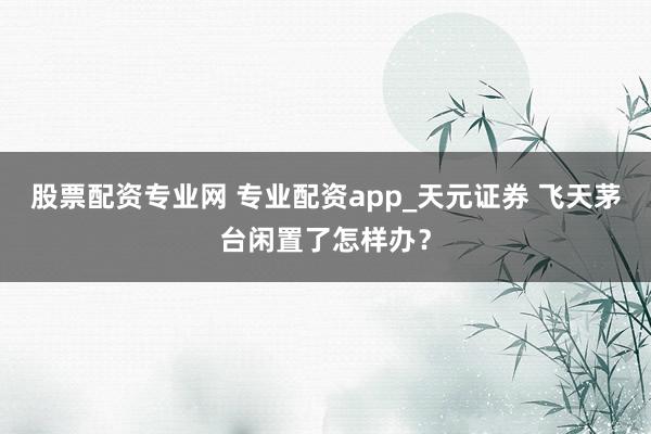 股票配资专业网 专业配资app_天元证券 飞天茅台闲置了怎样办?
