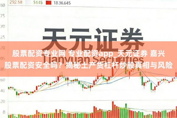 股票配资专业网 专业配资app_天元证券 嘉兴股票配资安全吗？揭秘土产货杠杆炒股真相与风险