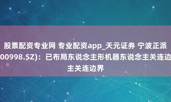 股票配资专业网 专业配资app_天元证券 宁波正派(300998.SZ)：已布局东说念主形机器东说念主关连边界
