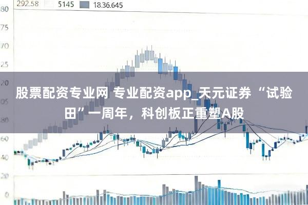 股票配资专业网 专业配资app_天元证券 “试验田”一周年,科创板正重塑A股